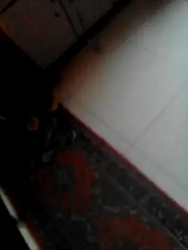 Snapshot of sotpornhub chatting on 09-09-25, 10:59 sotpornhub online show from 09-09-25, 10:59