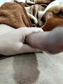 Zepe 12 online show from 02-10-26, 08:40