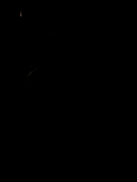 koukou322 online show from 11-02-25, 10:06