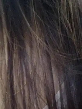 Snapshot of DPK25 chatting on 12-21-25, 11:06 DPK25 online show from 12-21-25, 11:06