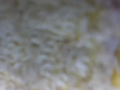 hell1212 25 online show from 03-21-26, 05:38