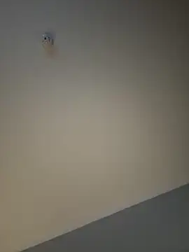 busty p online show from 09-11-25, 09:04