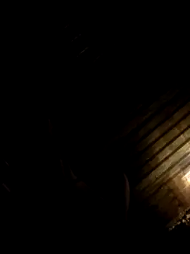 Snapshot of armndo4 chatting on 10-08-25, 12:14 armndo4 online show from 10-08-25, 12:14