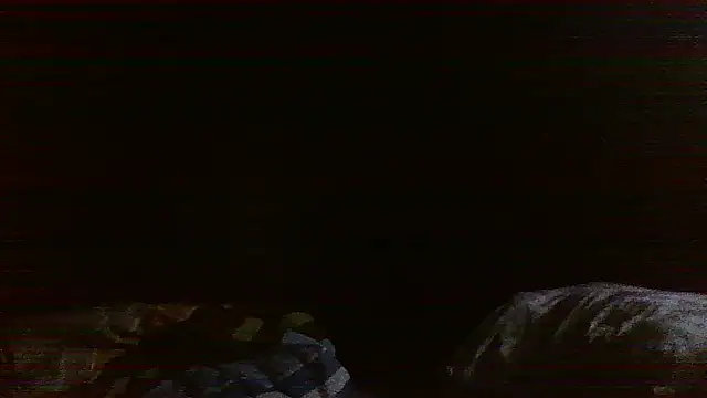 raredick online show from 04-13-26, 03:39