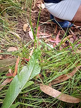 Snapshot of maxvergo chatting on 04-15-26, 09:37 maxvergo online show from 04-15-26, 09:37