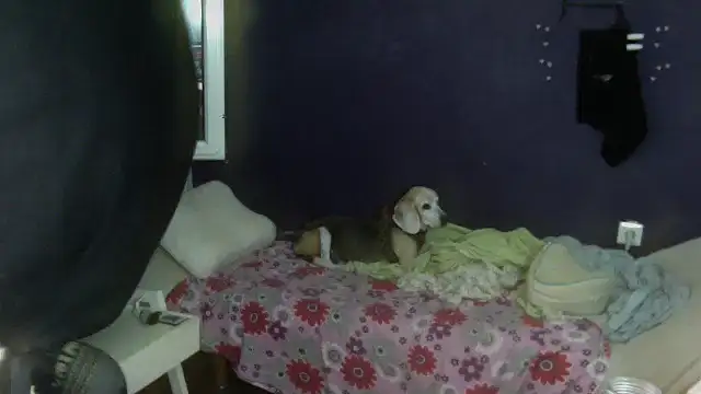 turkishTransEfsun online show from 09-13-25, 01:11