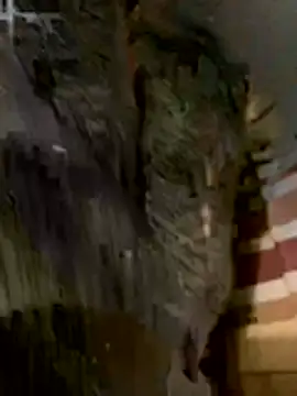 Snapshot of anhye8 chatting on 02-08-26, 03:37 anhye8 online show from 02-08-26, 03:37