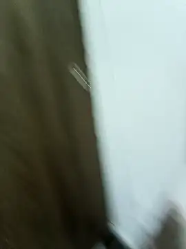 Snapshot of Maazikeen chatting on 11-17-25, 03:01 Maazikeen online show from 11-17-25, 03:01