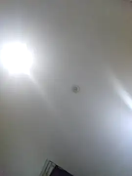 Natural Asian Girl online show from 09-23-25, 10:40