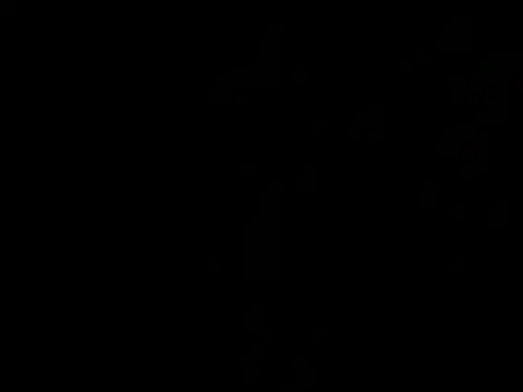 allybluee777 online show from 03-07-26, 11:02