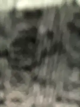 caroline  muller online show from 10-14-25, 10:49