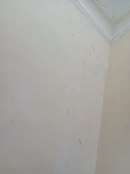 Sondosa3 online show from 10-05-25, 09:02