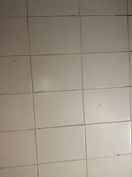 Novinhodotadomg online show from 11-05-25, 08:09