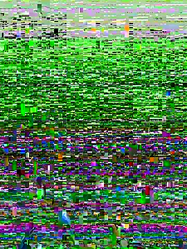 Novinhodotadomg online show from 11-15-25, 07:43