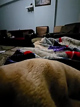 fena-sikerimmm online show from 02-21-26, 02:45