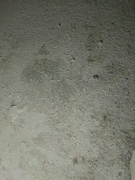 altafhyd online show from 10-05-25, 10:57