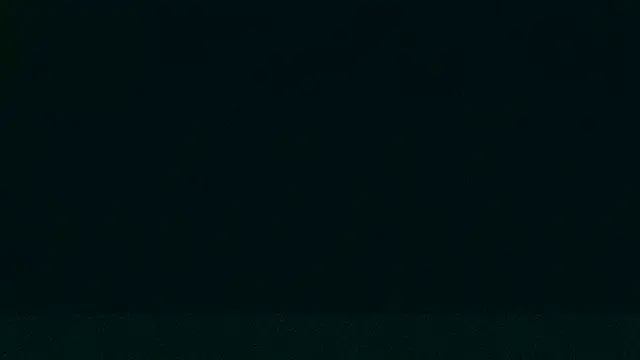 LeeCox online show from 12-21-24, 09:33