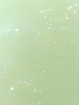 pegaso369 online show from 09-29-25, 01:05