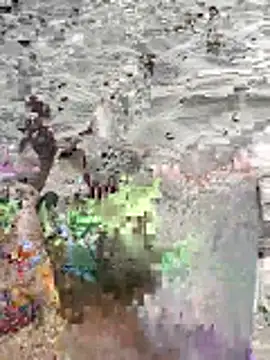 pegaso369 online show from 06-16-26, 02:52