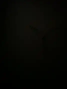 succy33 online show from 10-07-25, 04:59