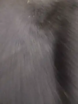 Funny Karina online show from 12-15-25, 06:34