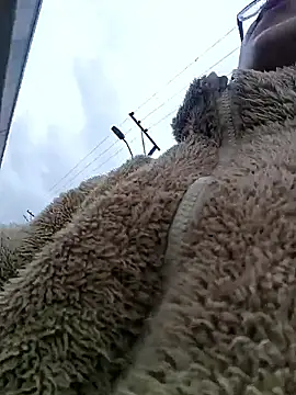 Engeelll online show from 03-18-26, 06:11