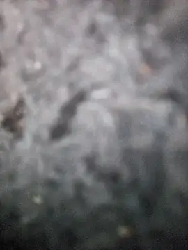 Snapshot of Romance32 chatting on 11-03-25, 07:31 Romance32 online show from 11-03-25, 07:31