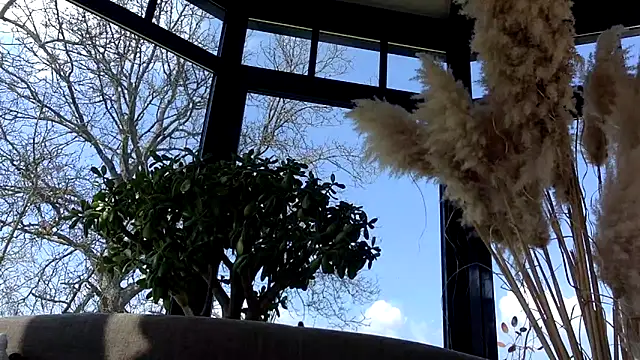 3615-ULLA online show from 03-22-26, 11:57