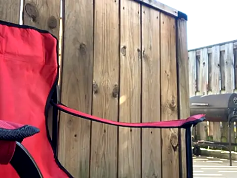 Insurance-03 online show from 10-26-25, 04:13