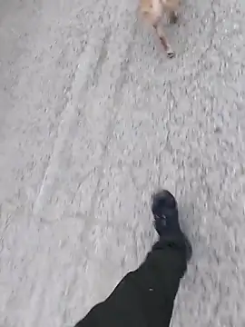 Axelitoc online show from 03-05-26, 06:09