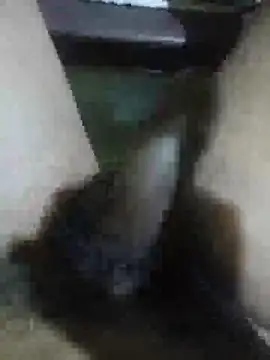 Vizgeboys online show from 02-28-26, 09:43