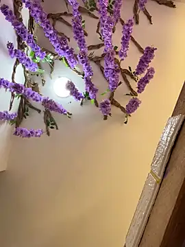 burbuja02 online show from 04-04-26, 02:36