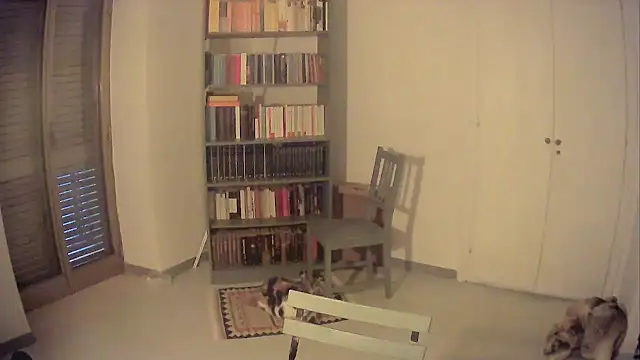 Mrkurt86 online show from 10-26-25, 04:02