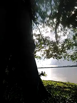 Snapshot of delesteli chatting on 11-01-25, 08:33 delesteli online show from 11-01-25, 08:33