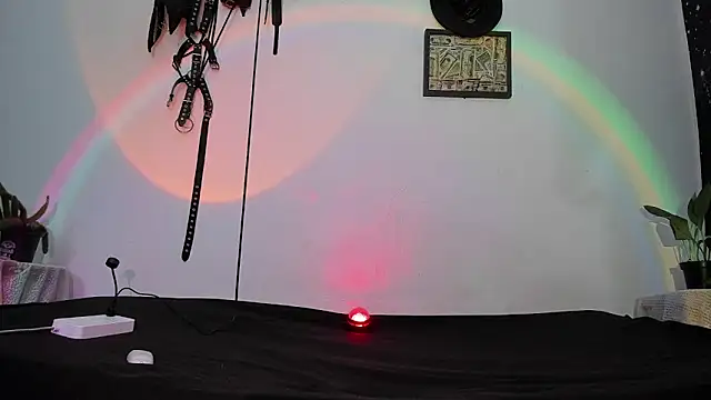 dex 55 online show from 05-12-26, 10:29