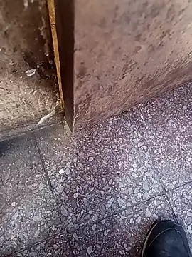 lucho2328 online show from 09-10-25, 07:14