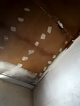 lucho2328 online show from 09-30-25, 06:46