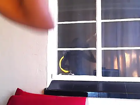 PetiteEbonyBabe online show from 10-09-25, 07:28