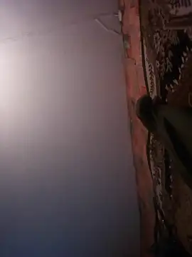 Snapshot of Romashka33011 chatting on 10-09-25, 02:15 Romashka33011 online show from 10-09-25, 02:15