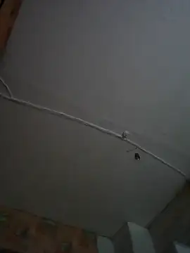 Snapshot of Romashka33011 chatting on 11-06-25, 08:15 Romashka33011 online show from 11-06-25, 08:15