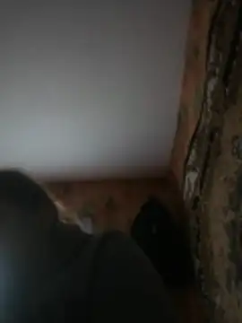 Romashka33011 online show from 03-31-26, 08:15