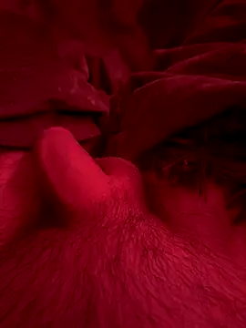 Snapshot of couplefuck__ chatting on 12-16-25, 07:57 couplefuck online show from 12-16-25, 07:57