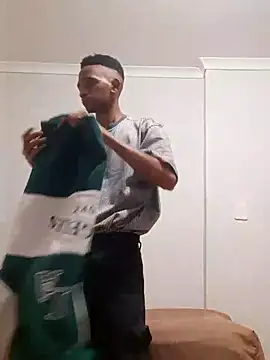 Snapshot of gemini_loops chatting on 09-08-25, 04:17 gemini loops online show from 09-08-25, 04:17