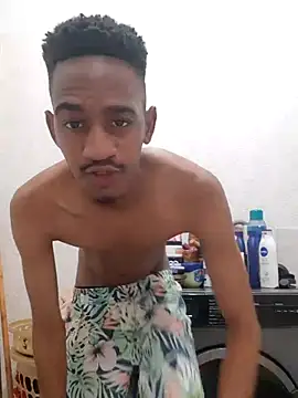 Snapshot of gemini_loops chatting on 10-02-25, 04:47 gemini loops online show from 10-02-25, 04:47