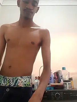 Snapshot of gemini_loops chatting on 12-03-25, 04:05 gemini loops online show from 12-03-25, 04:05