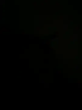 FirstTimeEvr online show from 07-07-26, 07:34