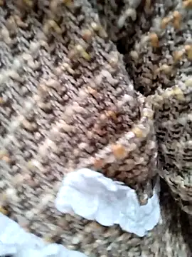 Sinejdk3 online show from 01-07-26, 12:24