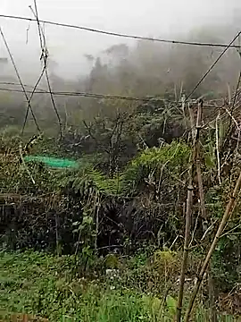 quynhkoolbae online show from 03-11-26, 03:12