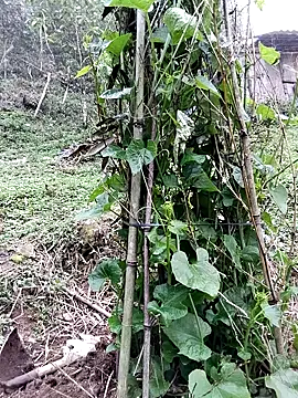 quynhkoolbae online show from 03-21-26, 09:14