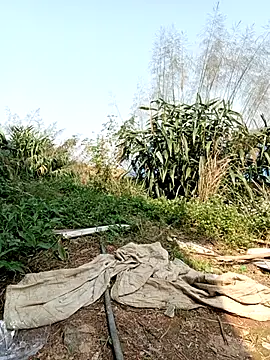 linda bae00 online show from 03-02-26, 07:15